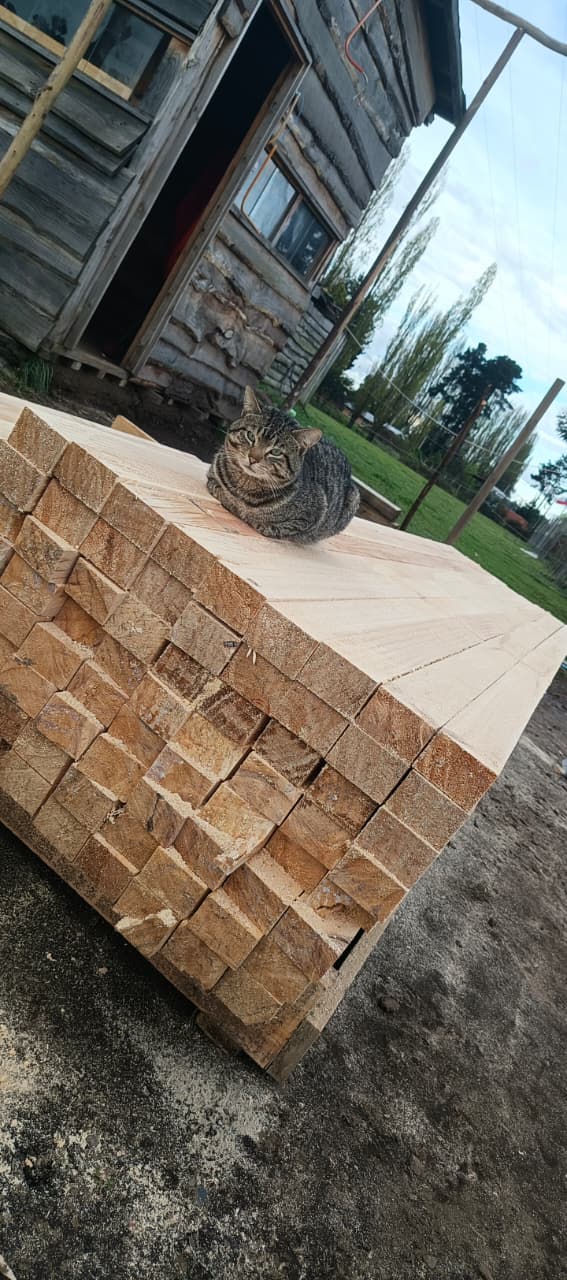 Trabajo en el aserradero 5